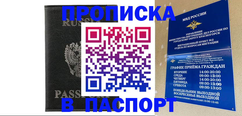 прописка штамп в Братске